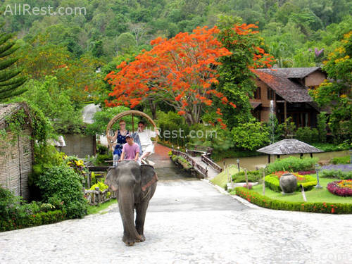 Belle Villa Resort 39